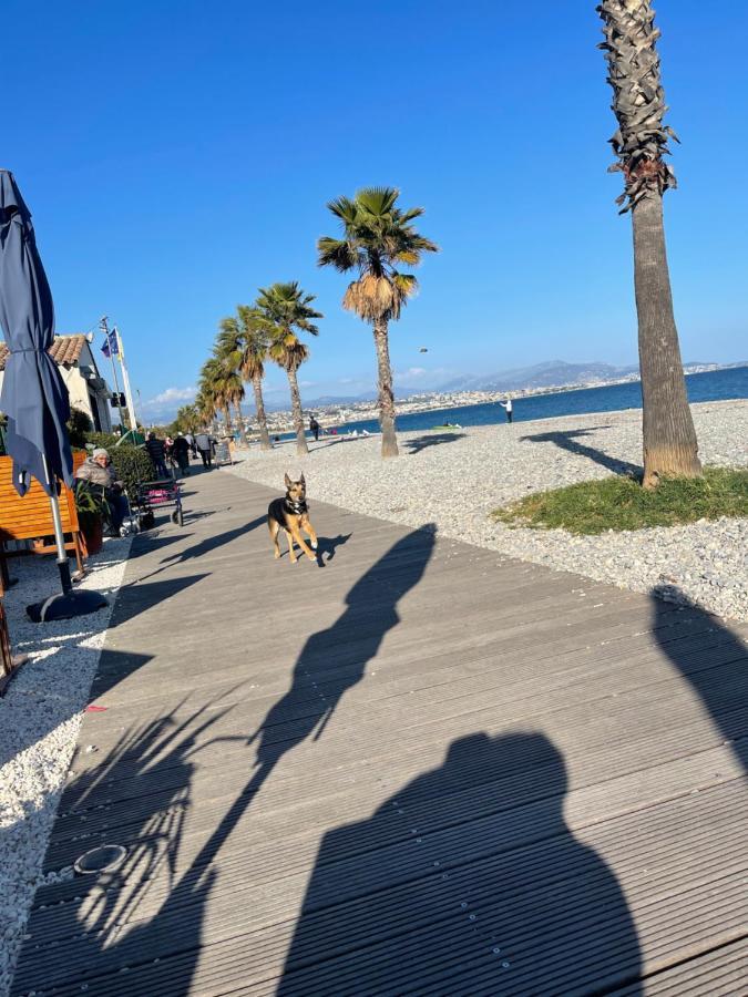 Villeneuve Loubet Plage- Entre Nice Et Cannes ภายนอก รูปภาพ