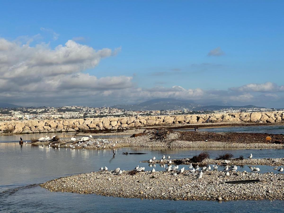 Villeneuve Loubet Plage- Entre Nice Et Cannes ภายนอก รูปภาพ