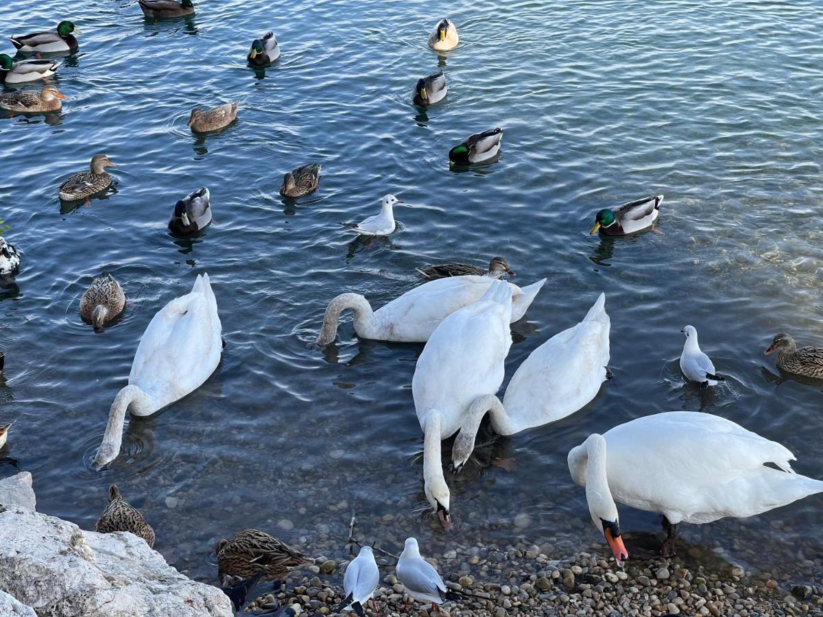 Villeneuve Loubet Plage- Entre Nice Et Cannes ภายนอก รูปภาพ