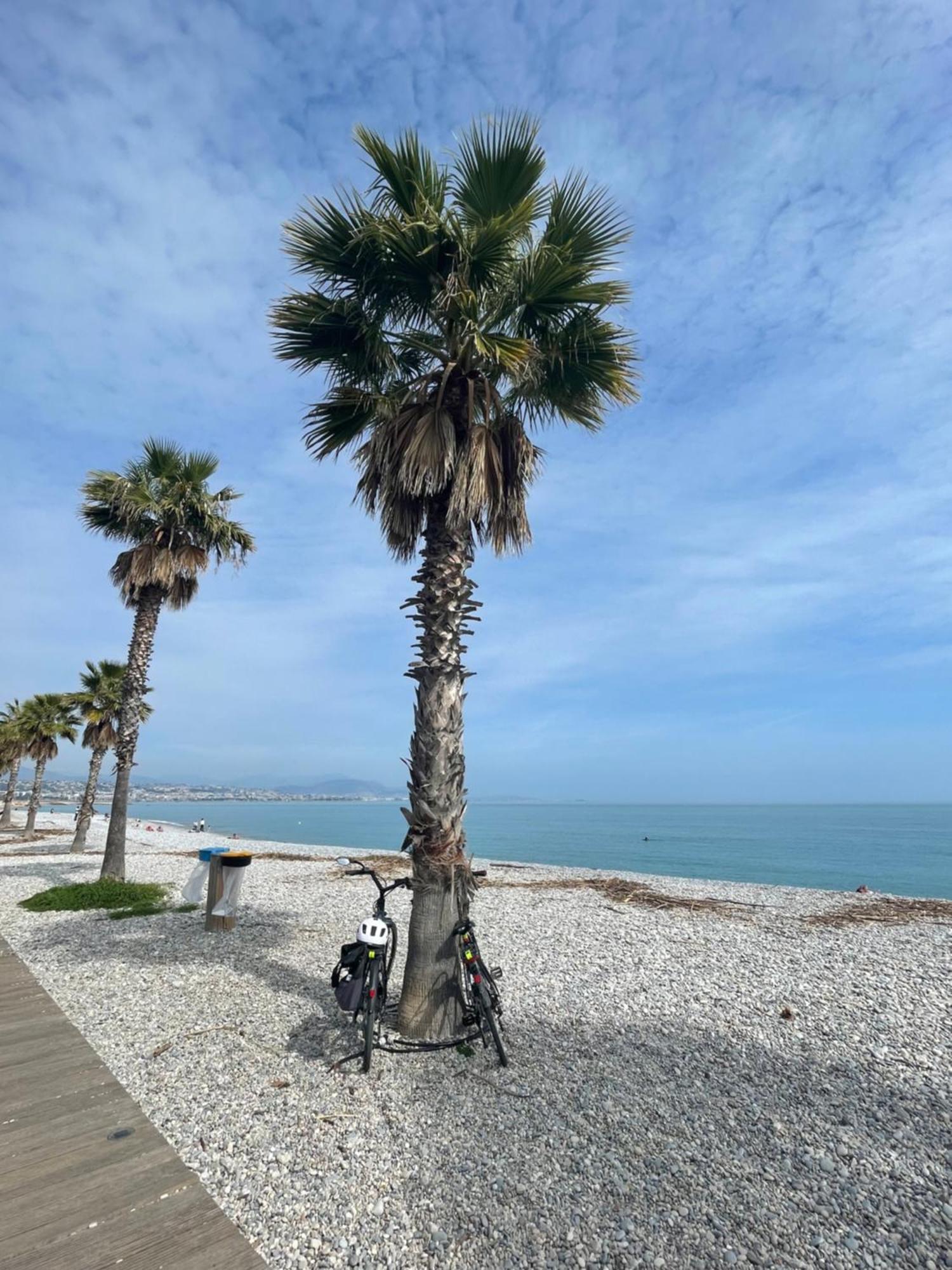 Villeneuve Loubet Plage- Entre Nice Et Cannes ภายนอก รูปภาพ