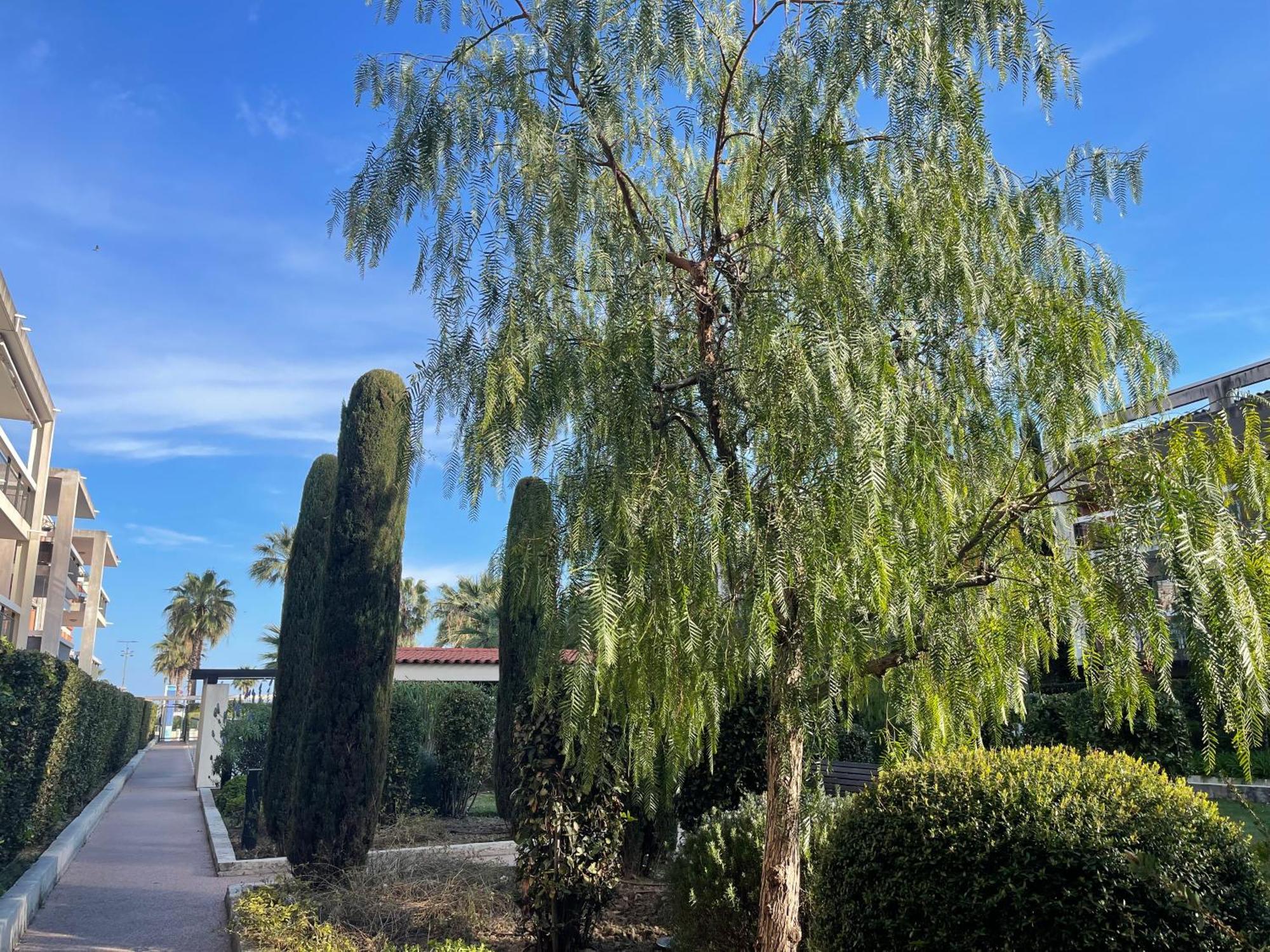 Villeneuve Loubet Plage- Entre Nice Et Cannes ภายนอก รูปภาพ