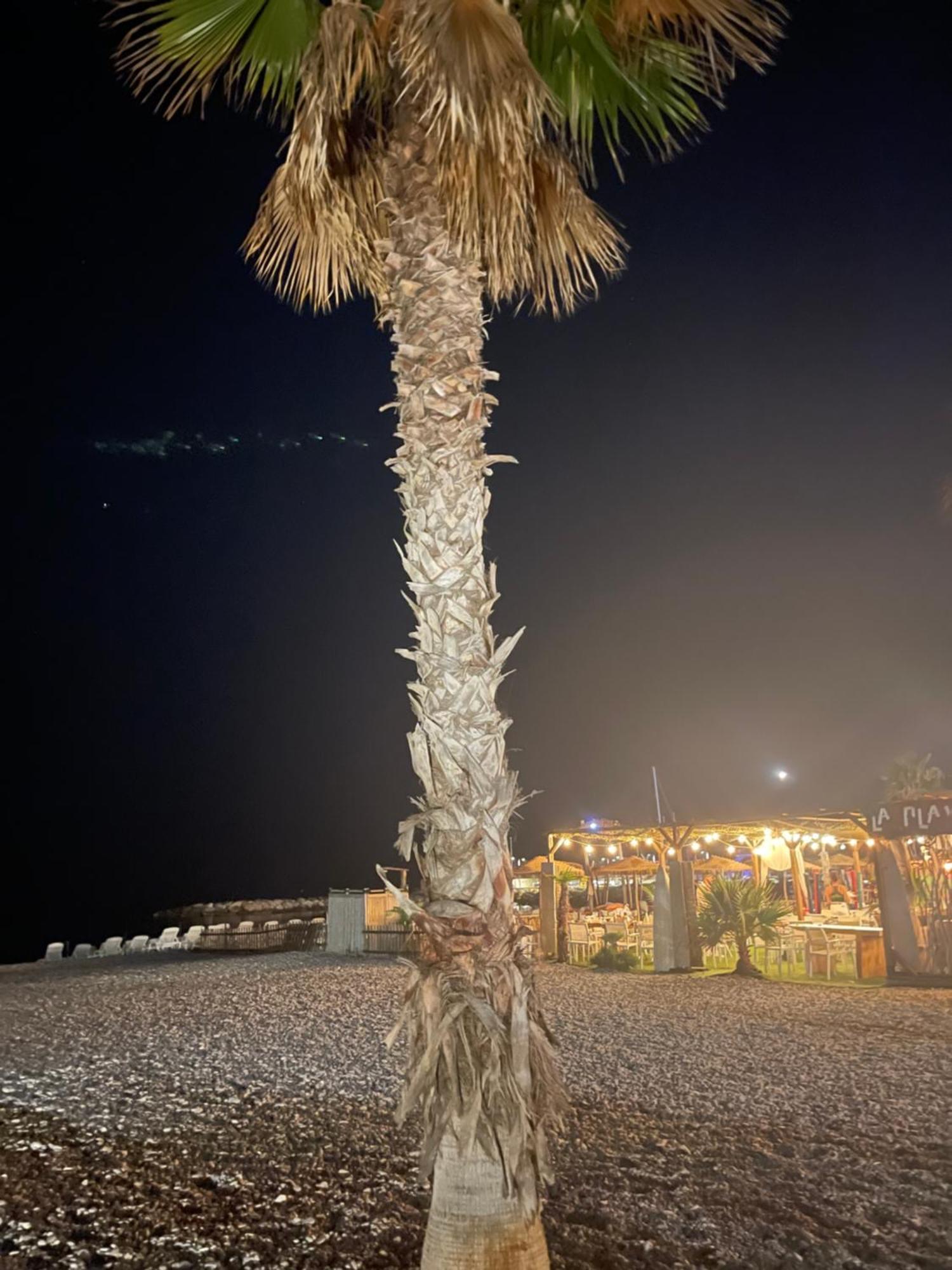 Villeneuve Loubet Plage- Entre Nice Et Cannes ภายนอก รูปภาพ