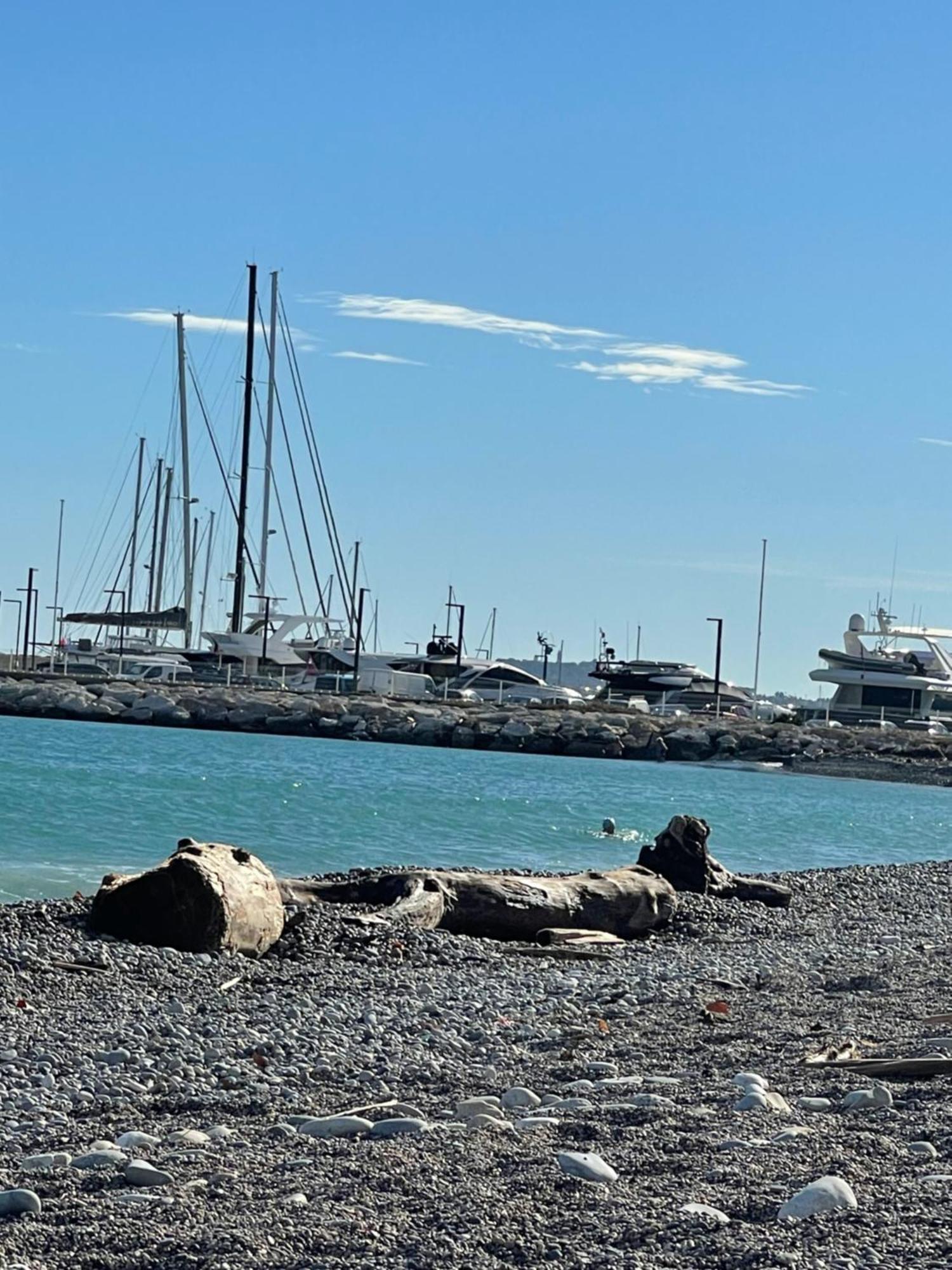 Villeneuve Loubet Plage- Entre Nice Et Cannes ภายนอก รูปภาพ