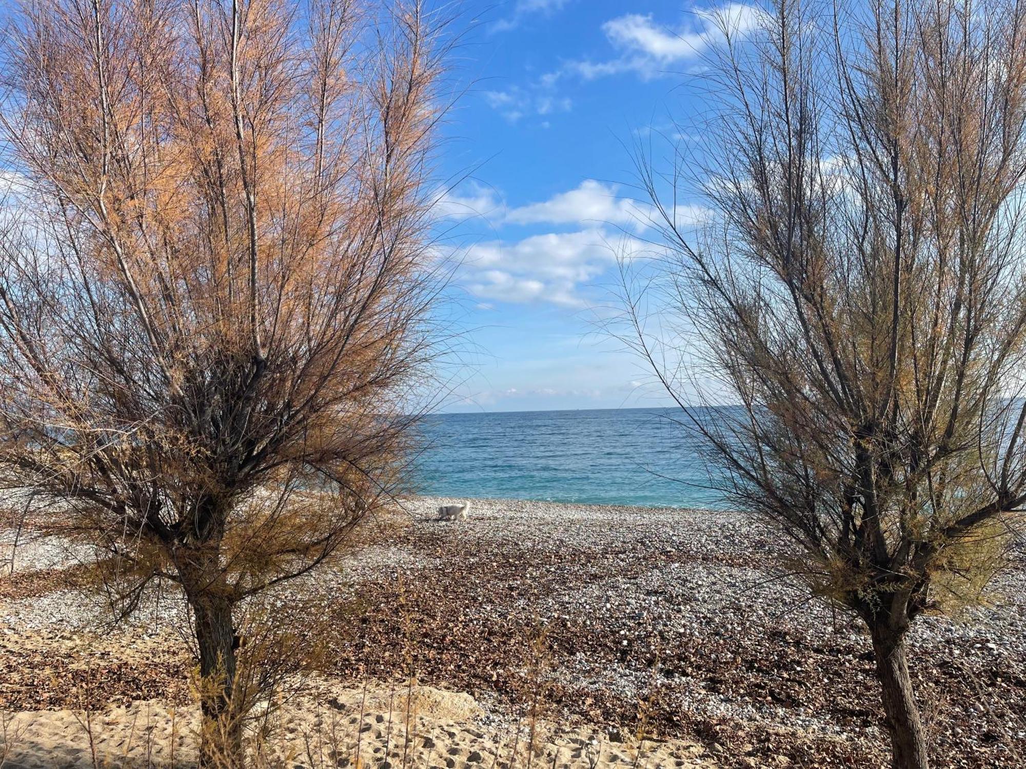 Villeneuve Loubet Plage- Entre Nice Et Cannes ภายนอก รูปภาพ