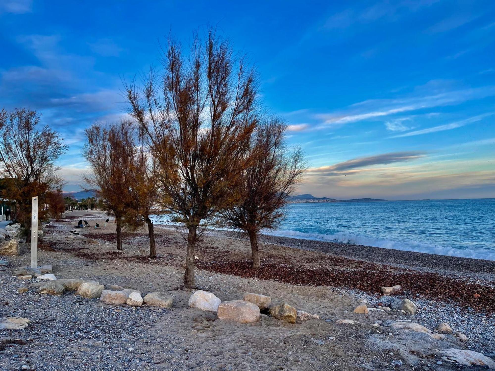 Villeneuve Loubet Plage- Entre Nice Et Cannes ภายนอก รูปภาพ